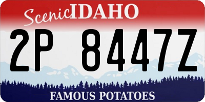 ID license plate 2P8447Z