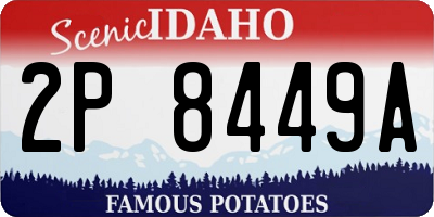 ID license plate 2P8449A