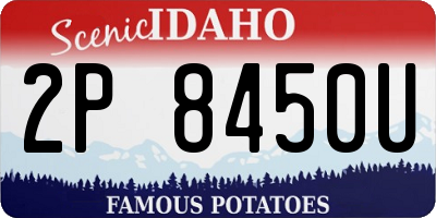ID license plate 2P8450U