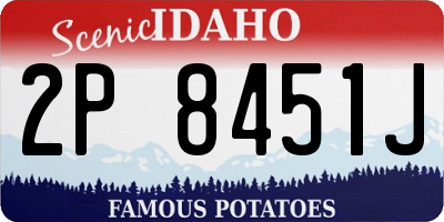 ID license plate 2P8451J