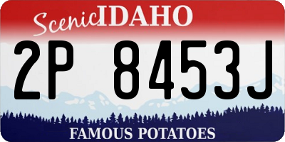 ID license plate 2P8453J