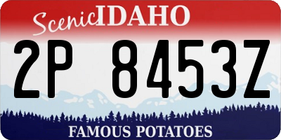 ID license plate 2P8453Z