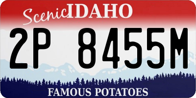 ID license plate 2P8455M