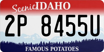 ID license plate 2P8455U