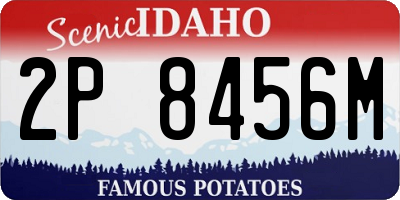 ID license plate 2P8456M