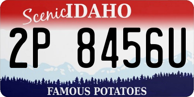 ID license plate 2P8456U