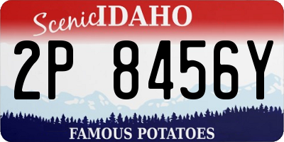 ID license plate 2P8456Y