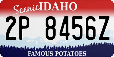 ID license plate 2P8456Z