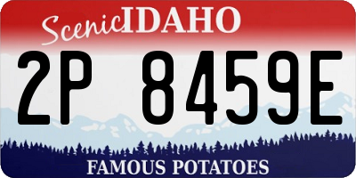 ID license plate 2P8459E