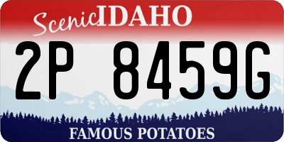 ID license plate 2P8459G