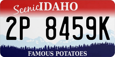 ID license plate 2P8459K