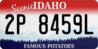 ID license plate 2P8459L