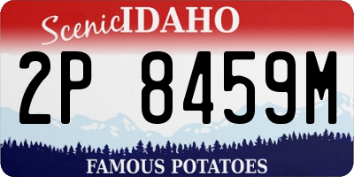 ID license plate 2P8459M