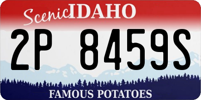 ID license plate 2P8459S