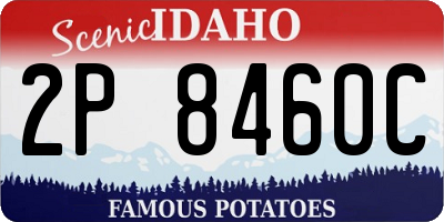 ID license plate 2P8460C