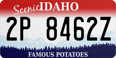 ID license plate 2P8462Z