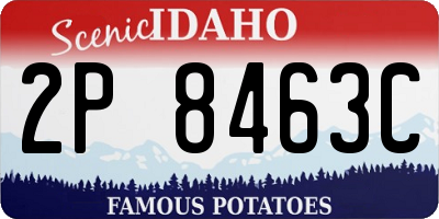 ID license plate 2P8463C