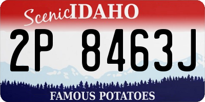 ID license plate 2P8463J