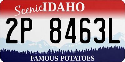 ID license plate 2P8463L
