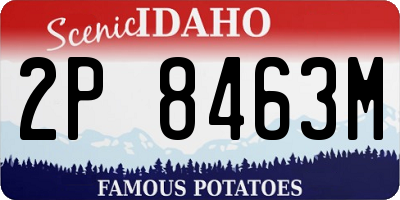 ID license plate 2P8463M