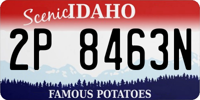ID license plate 2P8463N