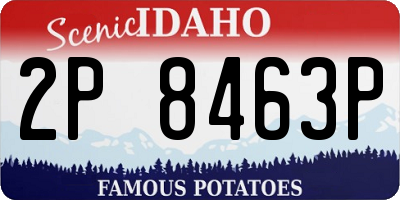 ID license plate 2P8463P