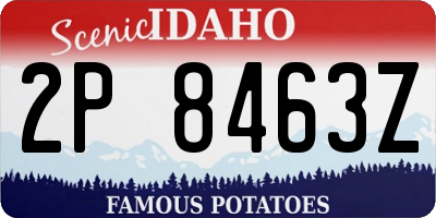 ID license plate 2P8463Z