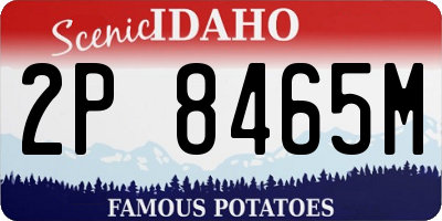 ID license plate 2P8465M