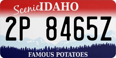ID license plate 2P8465Z