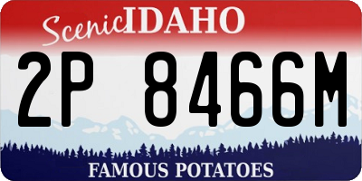 ID license plate 2P8466M