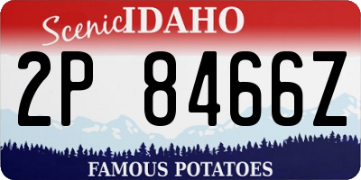 ID license plate 2P8466Z