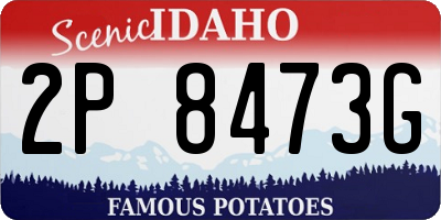 ID license plate 2P8473G