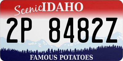 ID license plate 2P8482Z