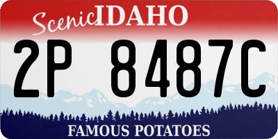 ID license plate 2P8487C