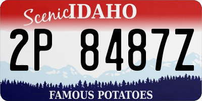 ID license plate 2P8487Z