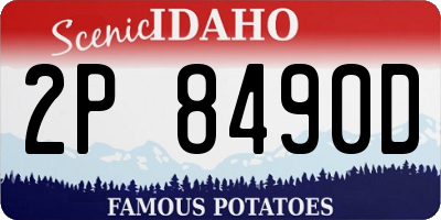 ID license plate 2P8490D