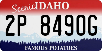 ID license plate 2P8490G