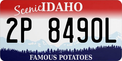 ID license plate 2P8490L
