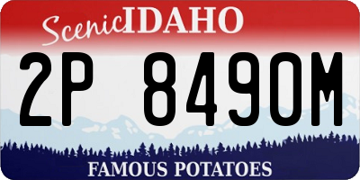 ID license plate 2P8490M