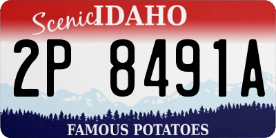 ID license plate 2P8491A
