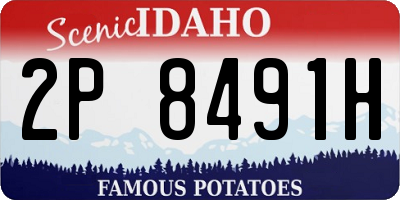 ID license plate 2P8491H