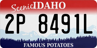 ID license plate 2P8491L