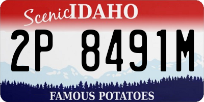 ID license plate 2P8491M