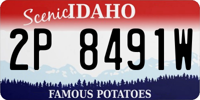 ID license plate 2P8491W