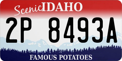 ID license plate 2P8493A
