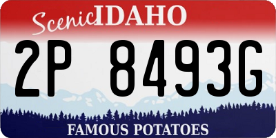 ID license plate 2P8493G
