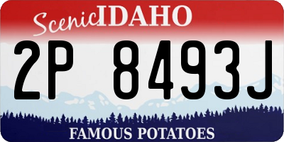 ID license plate 2P8493J