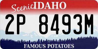 ID license plate 2P8493M