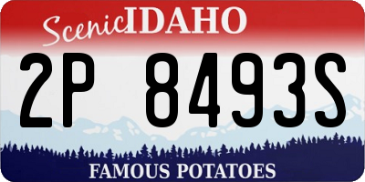 ID license plate 2P8493S
