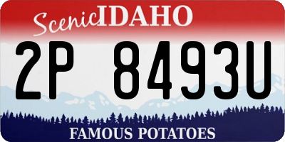 ID license plate 2P8493U
